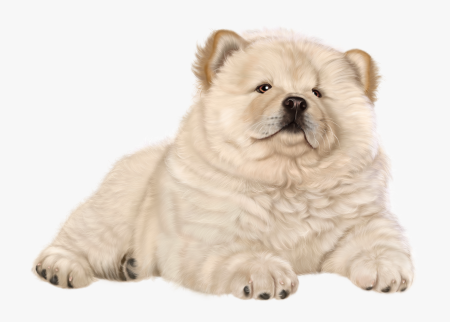 Puppy Png Clip Art - Chow Chow Png, Transparent Clipart