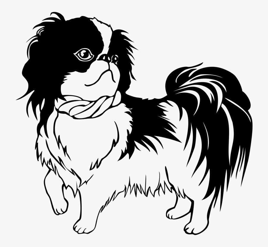 Art,monochrome Photography,carnivoran - Black And White Shih Tzu Vector, Transparent Clipart