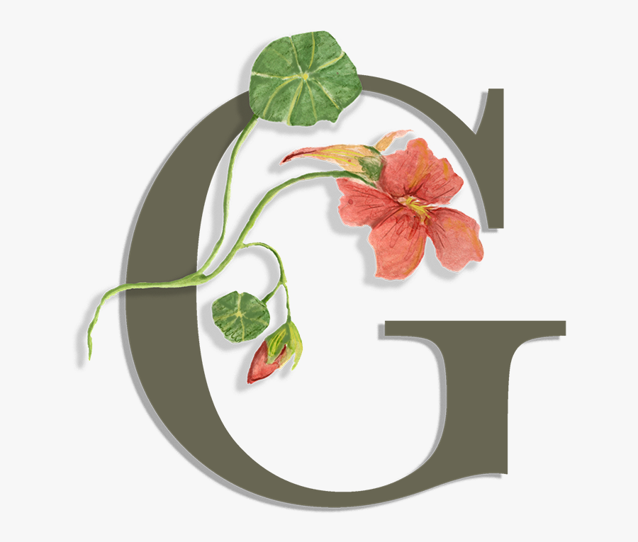 Anthurium, Transparent Clipart