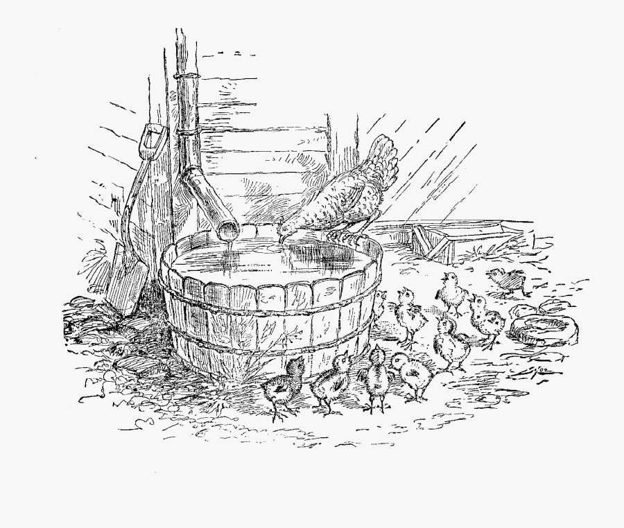 Chicken Hen Chicks Image Farm - Clipart Chicks With Hen, Transparent Clipart