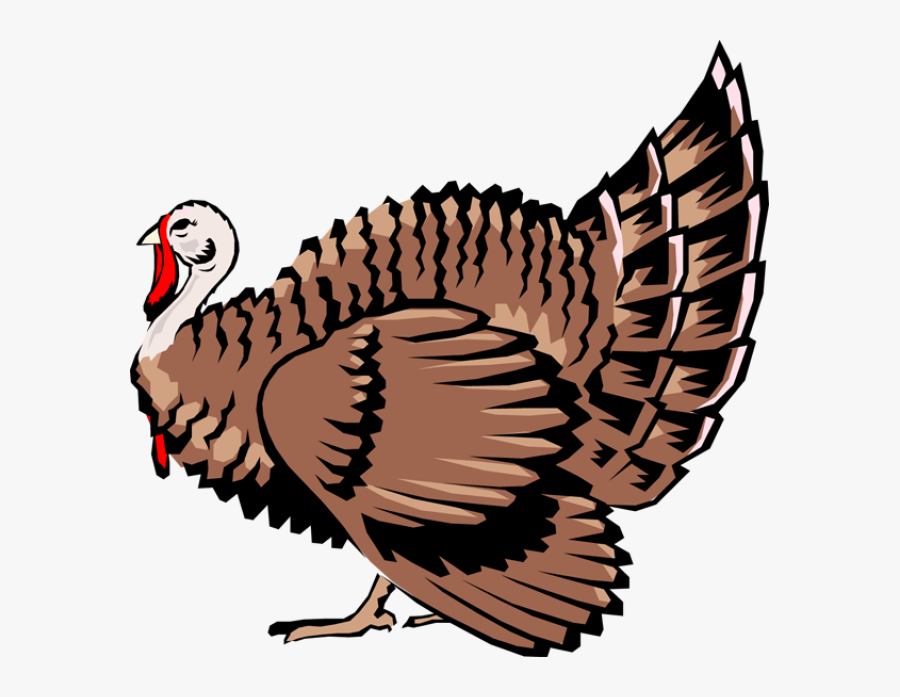Quality Clip Art Of Animals That Live On A Farm - Farm Animals Turkey Clipart, Transparent Clipart