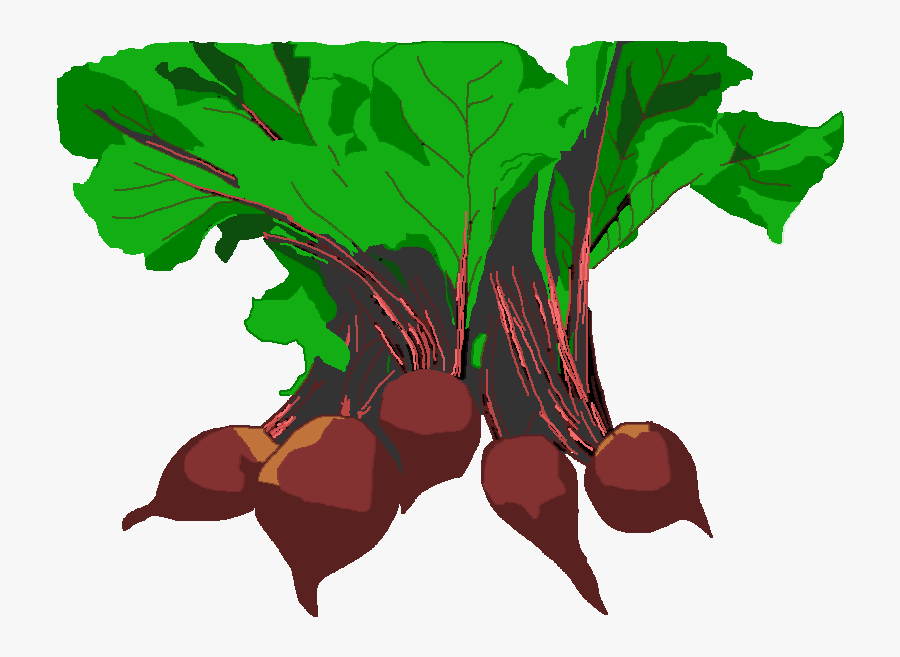 Free Vegetable Garden Clip Art - Beetroot, Transparent Clipart