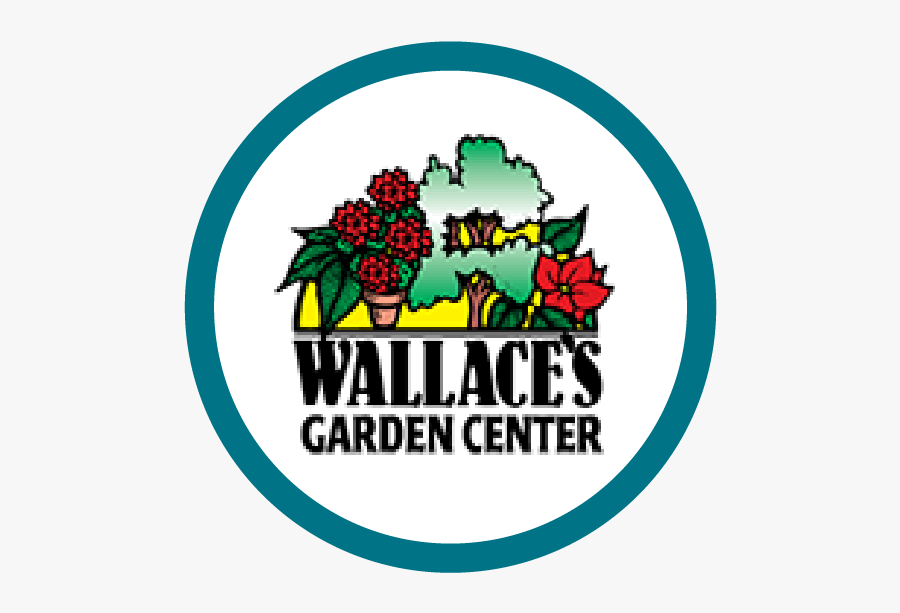 Logo-01 - Graphic Design, Transparent Clipart