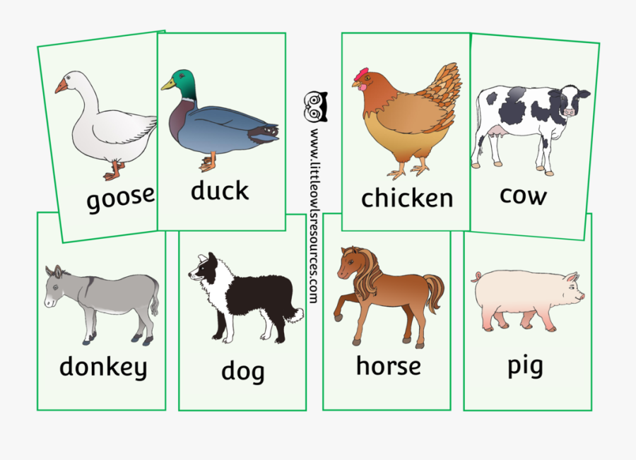 Farm Animal Picture Snap Game/activity Cards - Farm Animals Move Card, Transparent Clipart