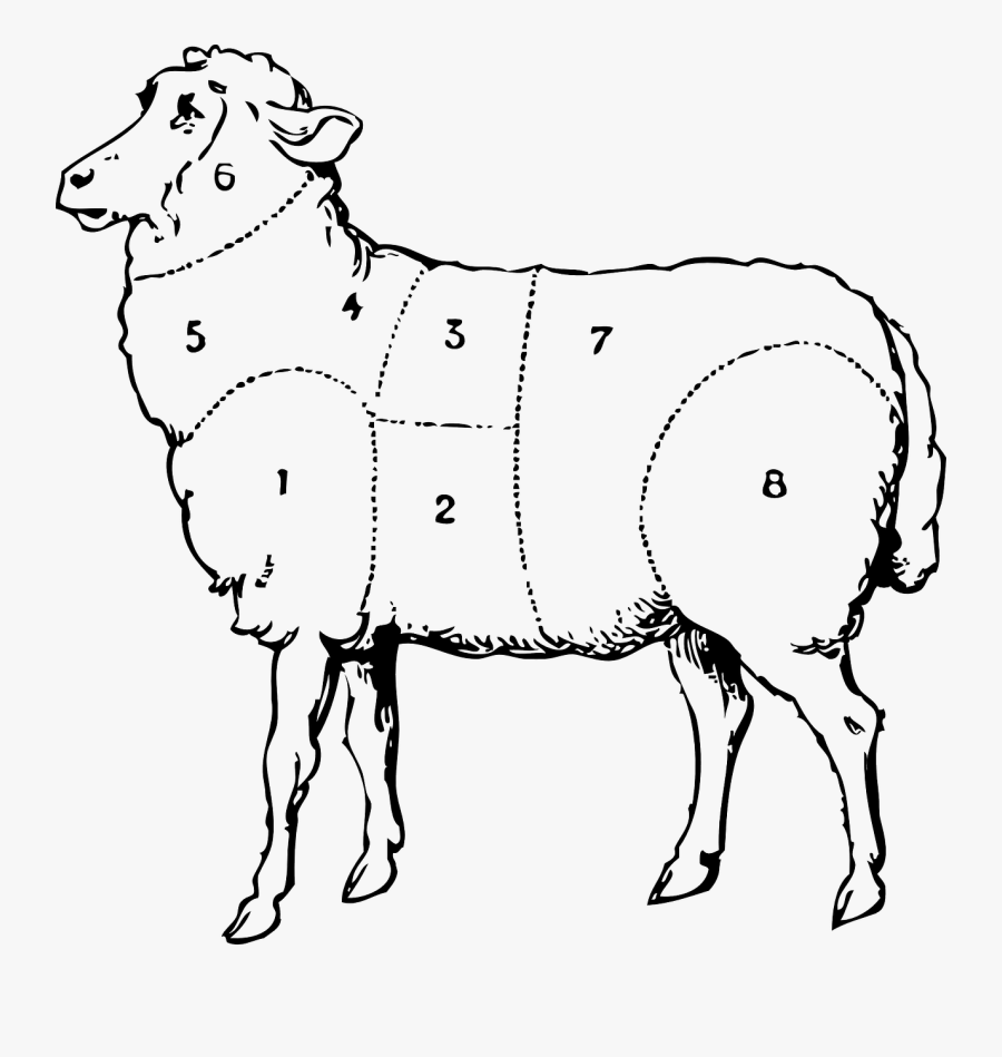 Free Vector Sheep Clip Art - Sheep Line Art Png, Transparent Clipart