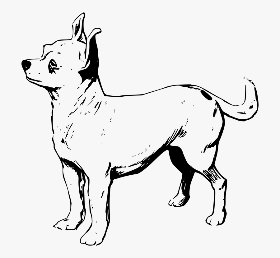Line Art,non Sporting Group,paw - Chihuahua Black And White Drawing, Transparent Clipart