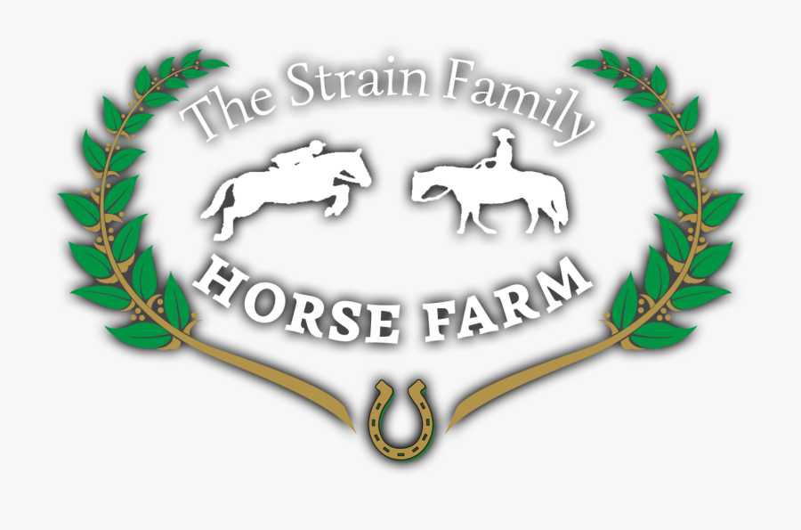 12 Meses Garantia Sello, Transparent Clipart