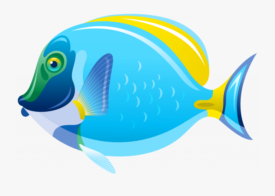 Fish Clip Art For - Transparent Background Fish Clipart, Transparent Clipart