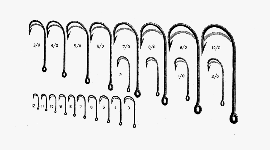 Trout Fish Hook Size, Transparent Clipart