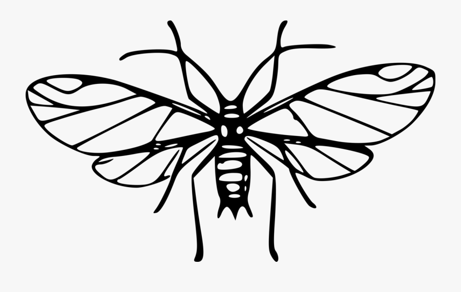 Cartoon Mosquito Clipart Wikiclipart - Mosquitoes Clipart Black And White, Transparent Clipart