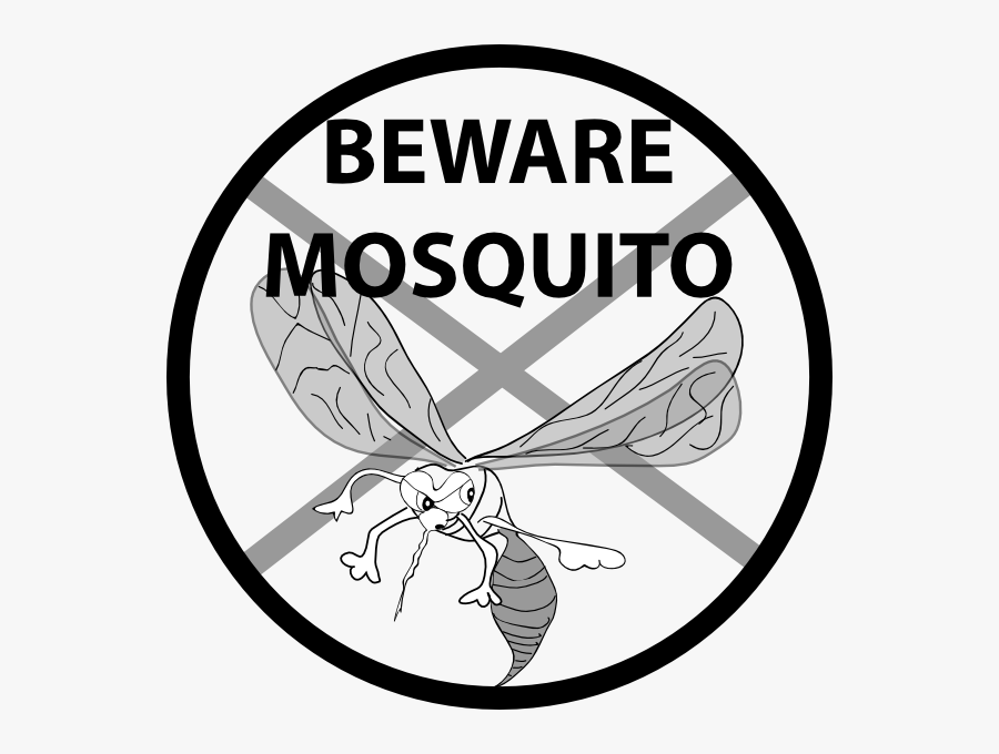 Ozone Therapy Before And After, Transparent Clipart