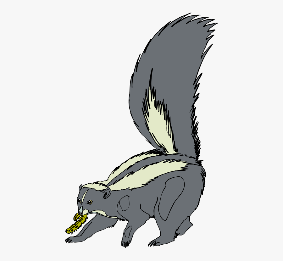 Skunk Clip Art - Skunk Transparent Clipart, Transparent Clipart