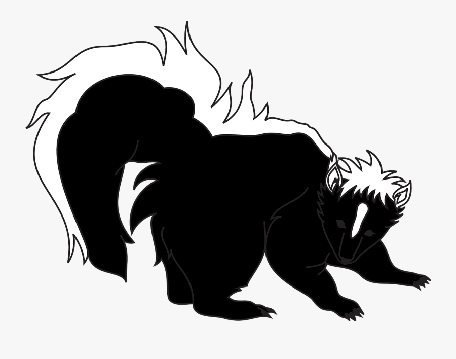 Skunk, Minacious, Imminent, Defense, About, Animal - Skunk Vector Png, Transparent Clipart
