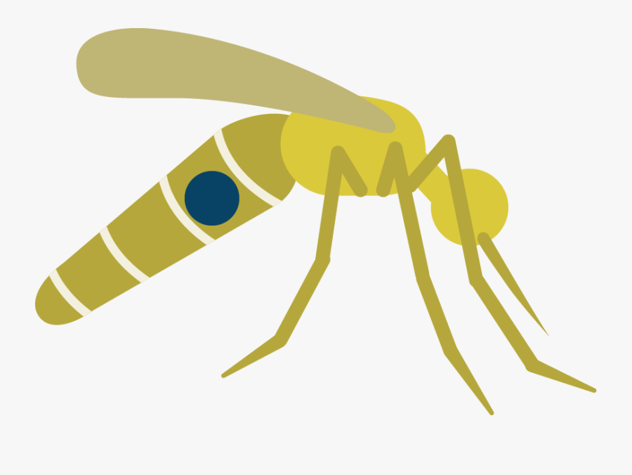 Little Fly Pebblelabs Us - Ant, Transparent Clipart