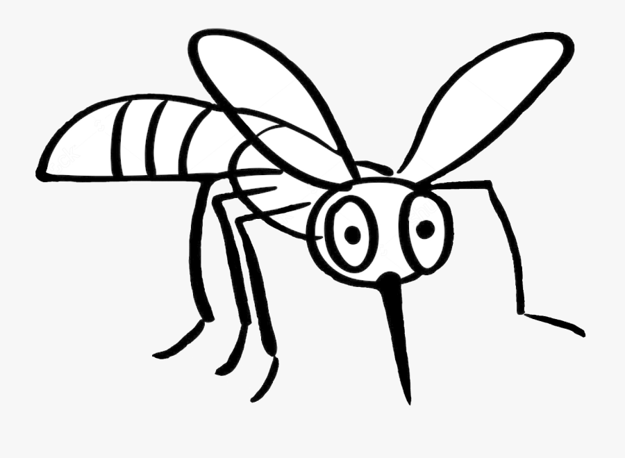 Drawn Mosquito Monster - Mosquito Fight Bite Drawing, Transparent Clipart