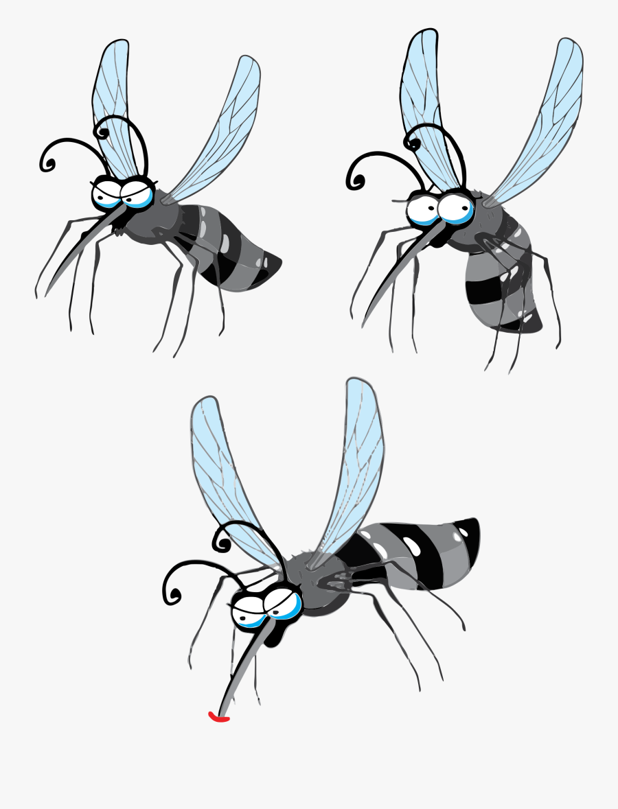Transparent House Fly Png - Mosquito Da Dengue Png, Transparent Clipart