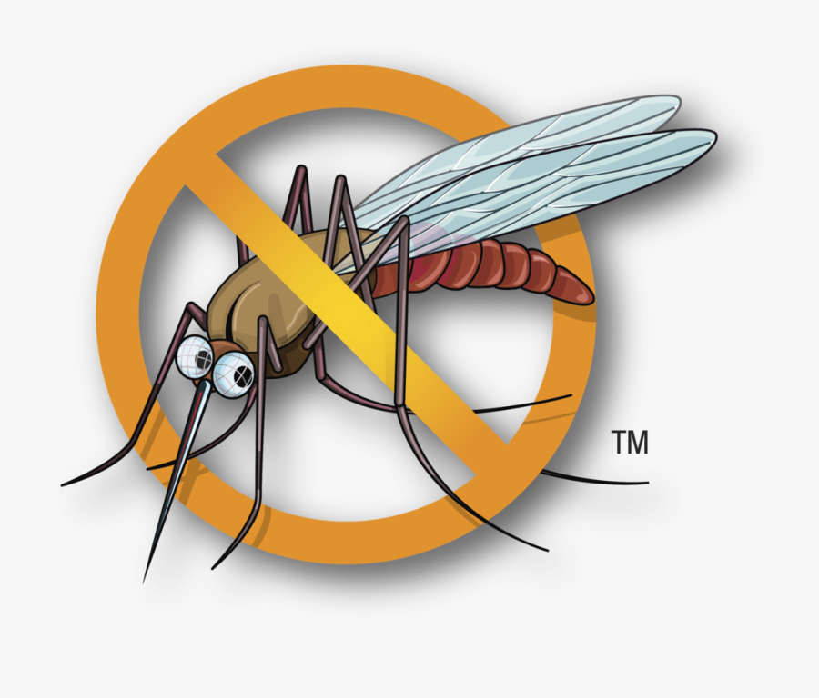 Mosquito Clipart Malaria Mosquito - Mosquito Dengue Clipart Png, Transparent Clipart