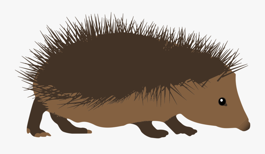Alphabet Word Images Animal - Hedgehog Clipart Png, Transparent Clipart