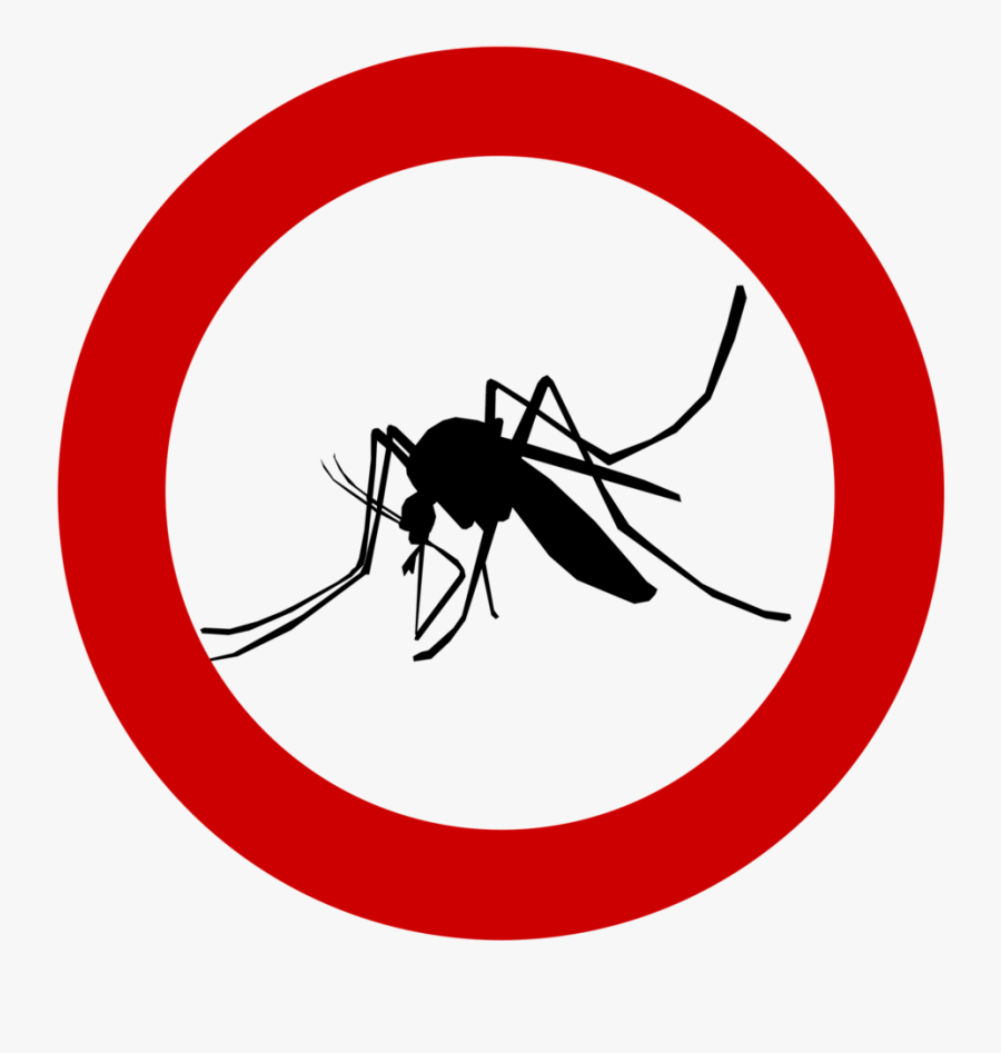 Mosquito, Schnake, Sting, Insect, Plage, Ban - No Cat Clipart, Transparent Clipart