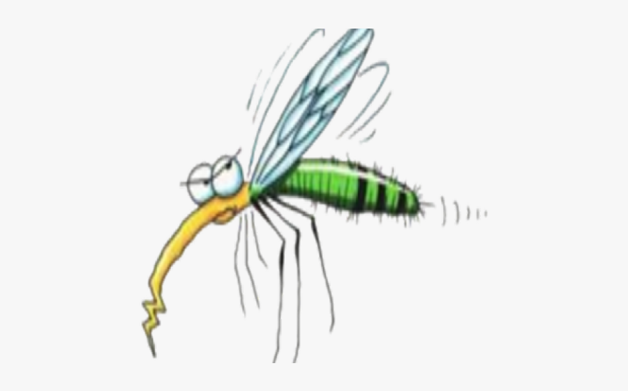 Mosquito Clipart Realistic - Transparent Background Mosquito Png, Transparent Clipart