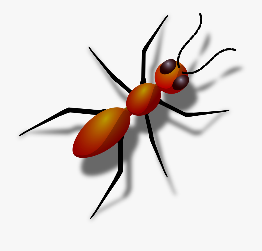 Big Image Png - Ant Clipart, Transparent Clipart