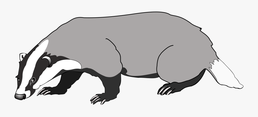 Badger Clipart - Badger Clipart Png, Transparent Clipart
