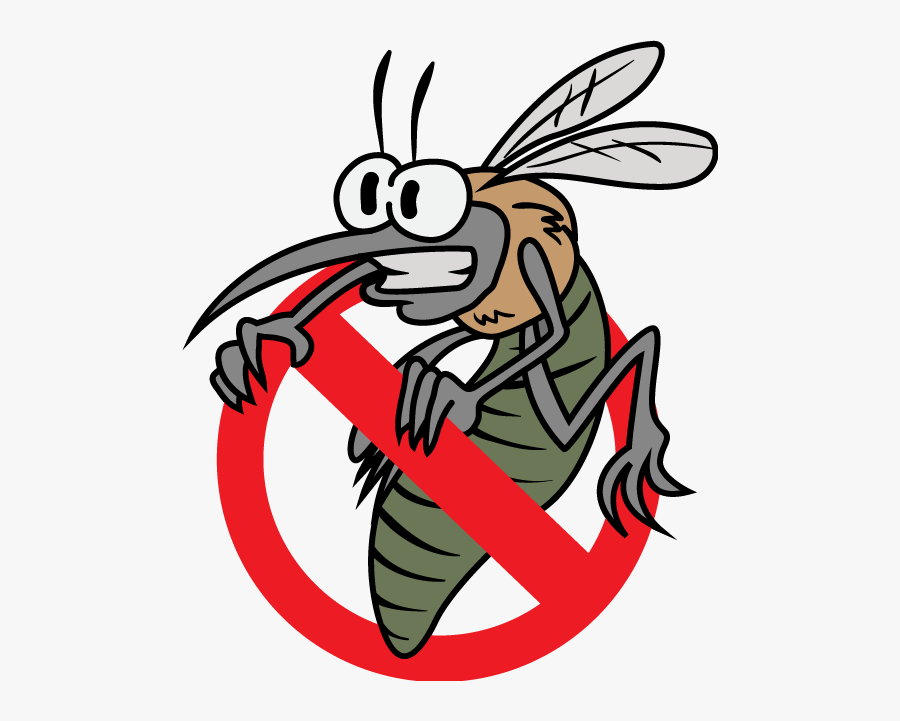 Bugs Disease Killers In - No Mosquito Cartoon Png, Transparent Clipart