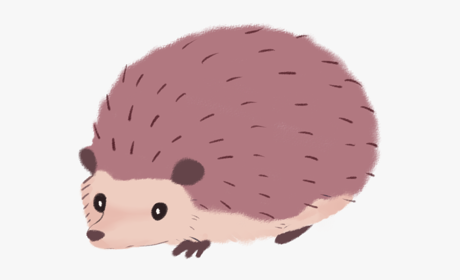 Download Hedgehog Png Transparent Images Transparent - Clipart Hedgehog Transparent Background, Transparent Clipart