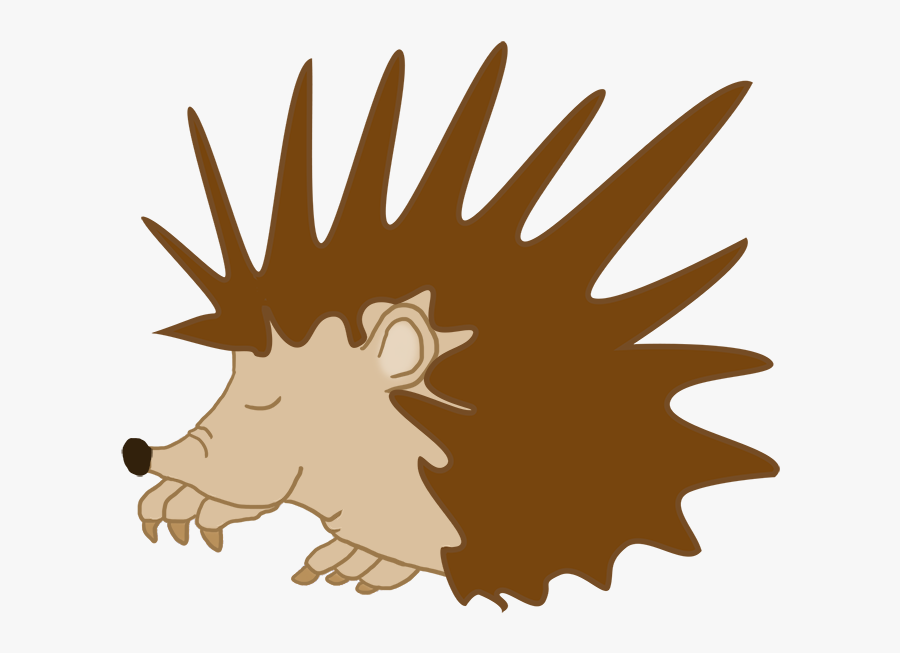 Sleeping Hedgehog Clipart - Illustration, Transparent Clipart
