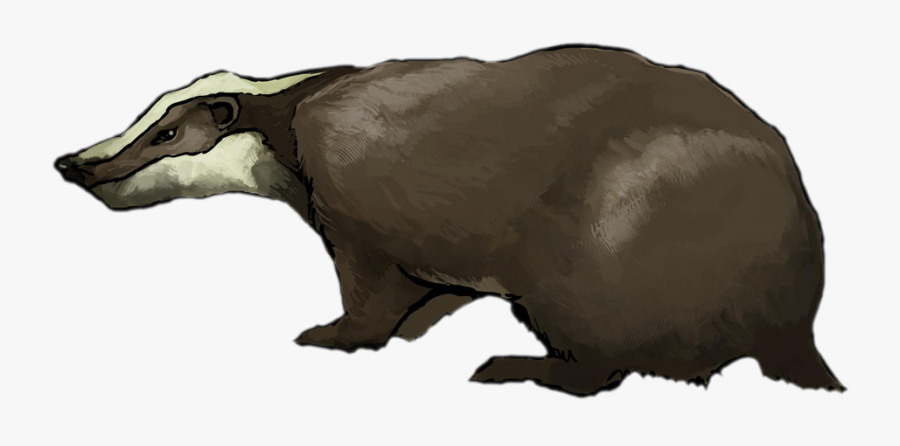 Badger - Clipart - - Transparent Badger Clipart, Transparent Clipart