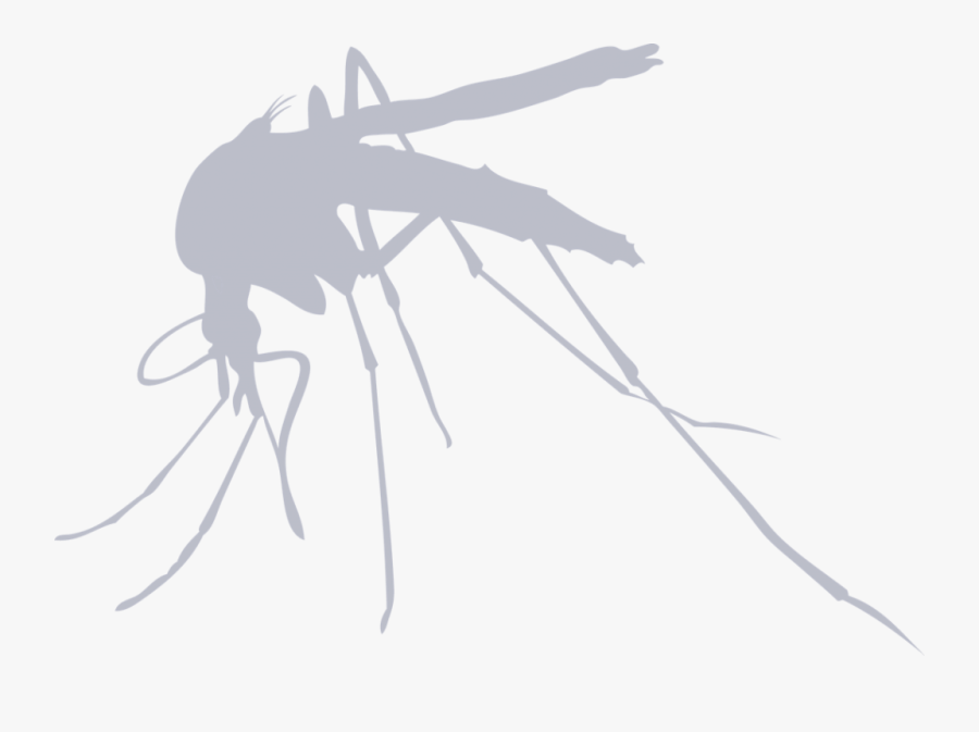 Transparent Mosquito Bite Clipart - Finnish Air Force Mosquito, Transparent Clipart