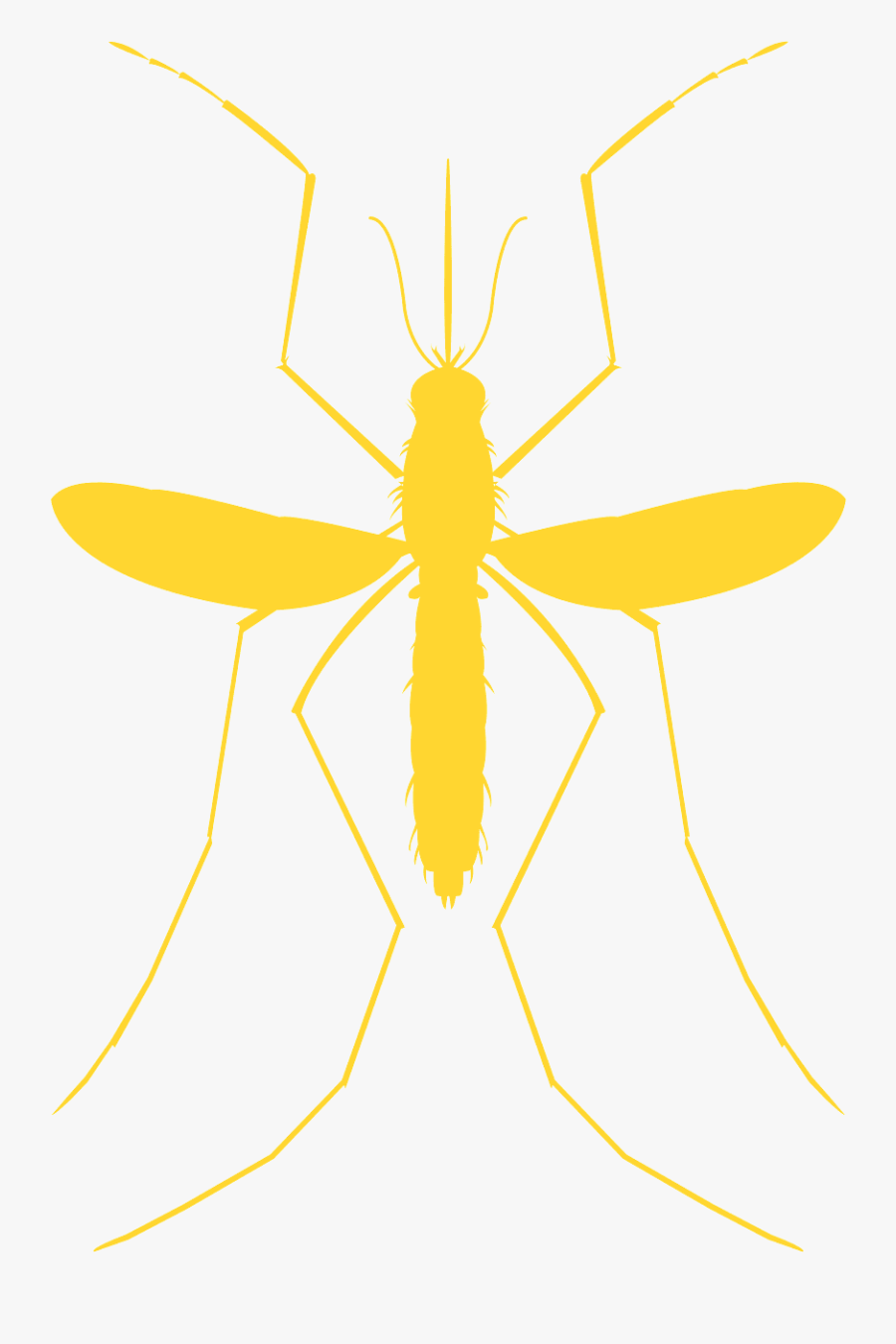 Ant, Transparent Clipart