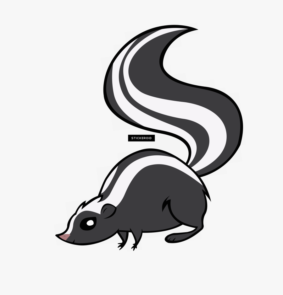 Skunk Animals - Skunk Clipart Png, Transparent Clipart