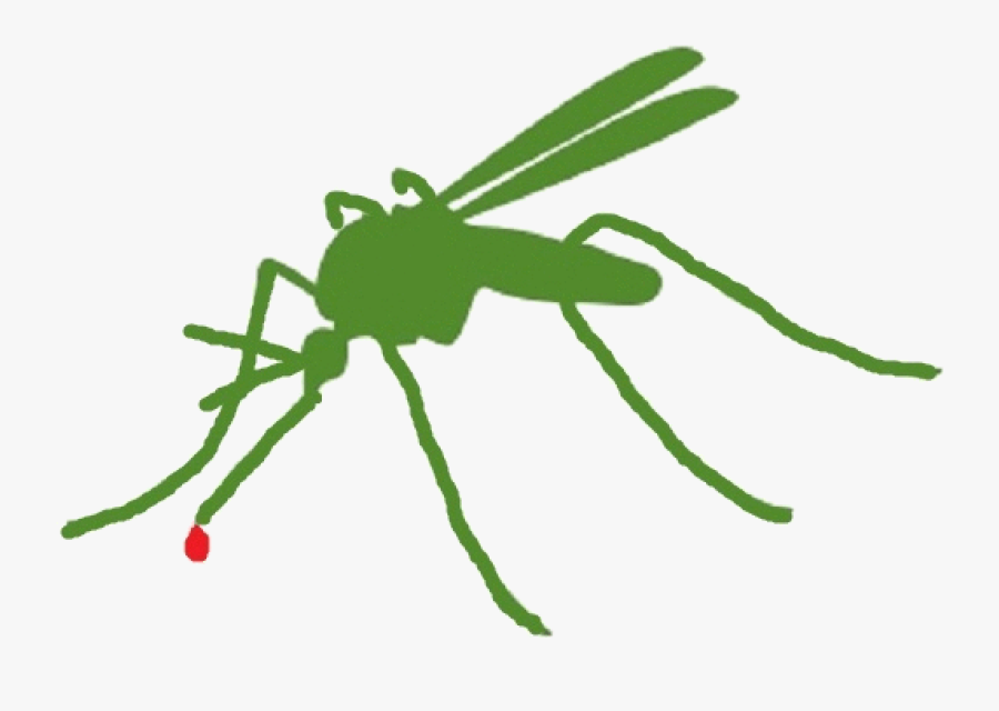 Mosquito Clipart Mosquito Control - Insect, Transparent Clipart