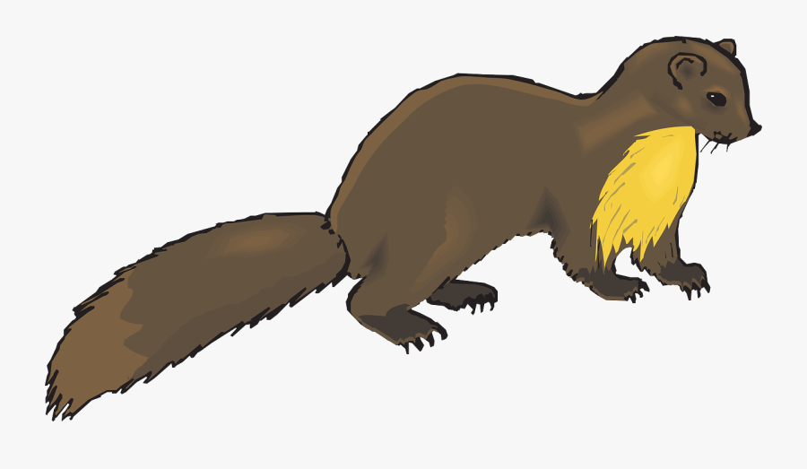 European Pine Marten Weasel Otter Mink Clip Art - Mink Clipart, Transparent Clipart