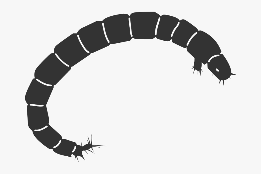 Mosquito Larvae Clipart Transparent - Larvae Mosquito Icon Transparent, Transparent Clipart