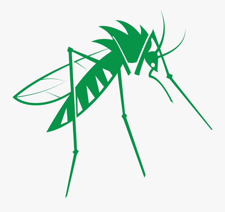 Transparent Mosquito Png, Transparent Clipart