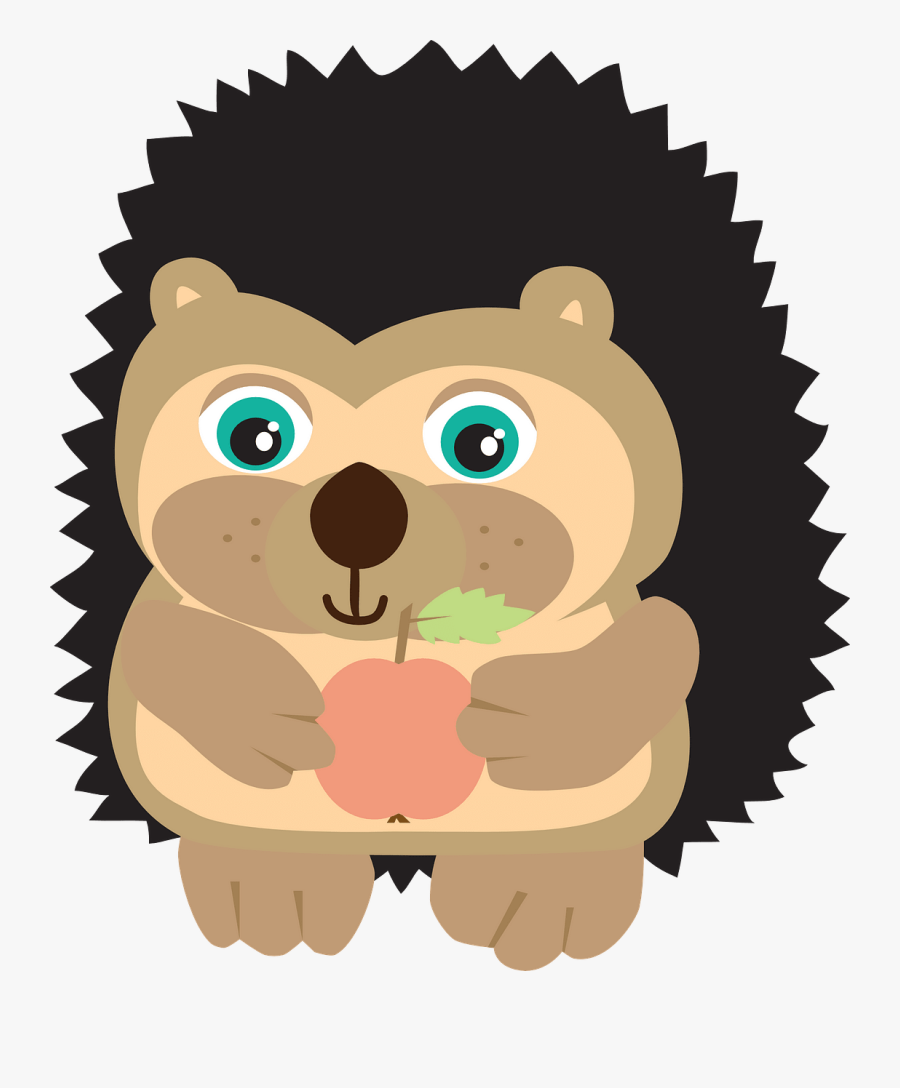 Jeż Do Druku, Transparent Clipart