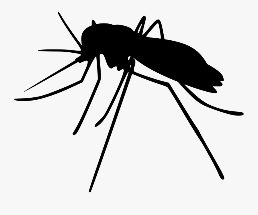 Mosquito - Mosquito Silhouette Png, Transparent Clipart