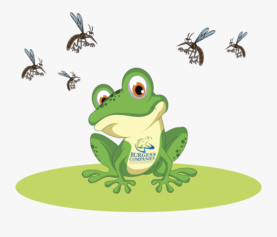 Free Clip Art Frog, Transparent Clipart