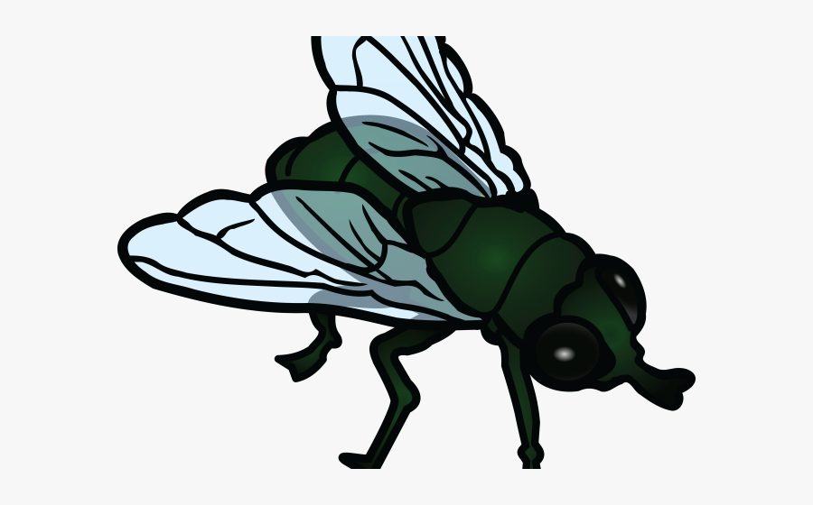 Flies Clipart Free Clip Art Stock Illustrations - Flies Clipart, Transparent Clipart