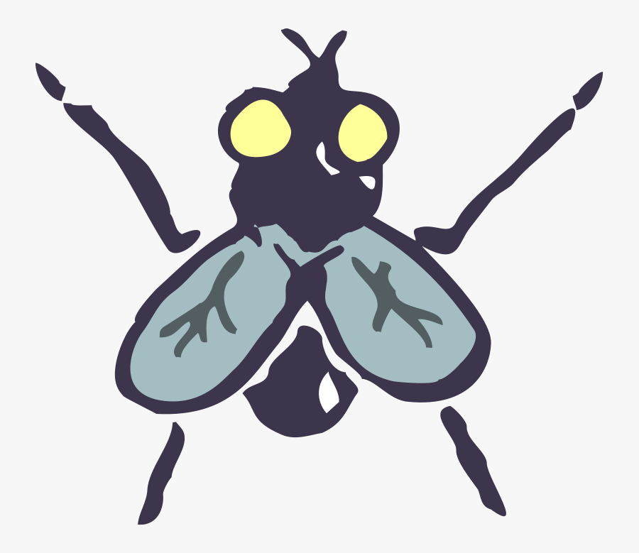 Insect 14 Free Vector - Insect Vector, Transparent Clipart