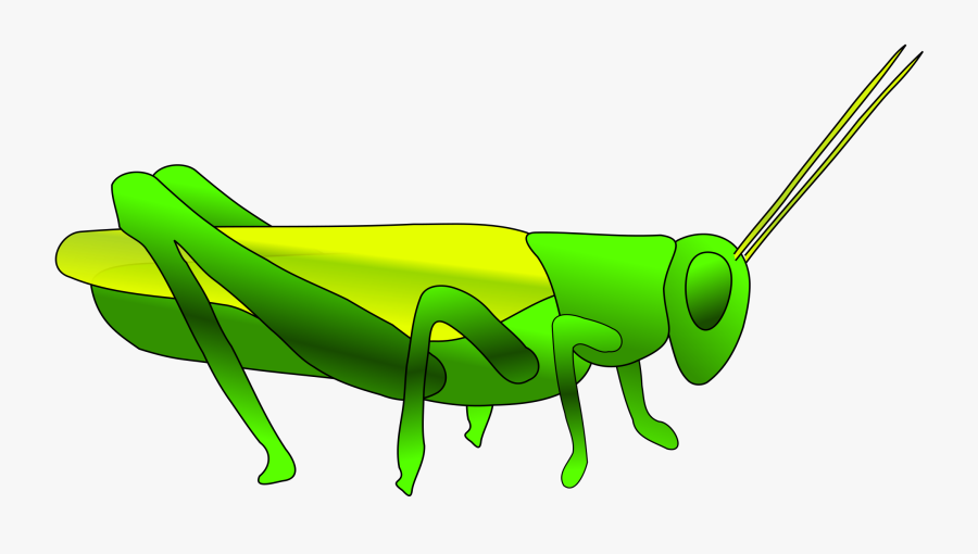 Grasshopper Clip Art, Transparent Clipart