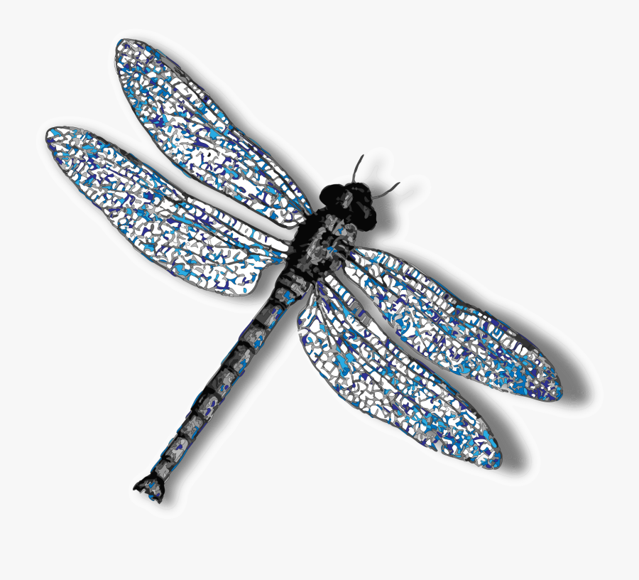 Transparent Background Dragonfly Transparent, Transparent Clipart