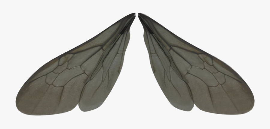 Insect Wings Clipart - Mosquito Wings Clip Art, Transparent Clipart