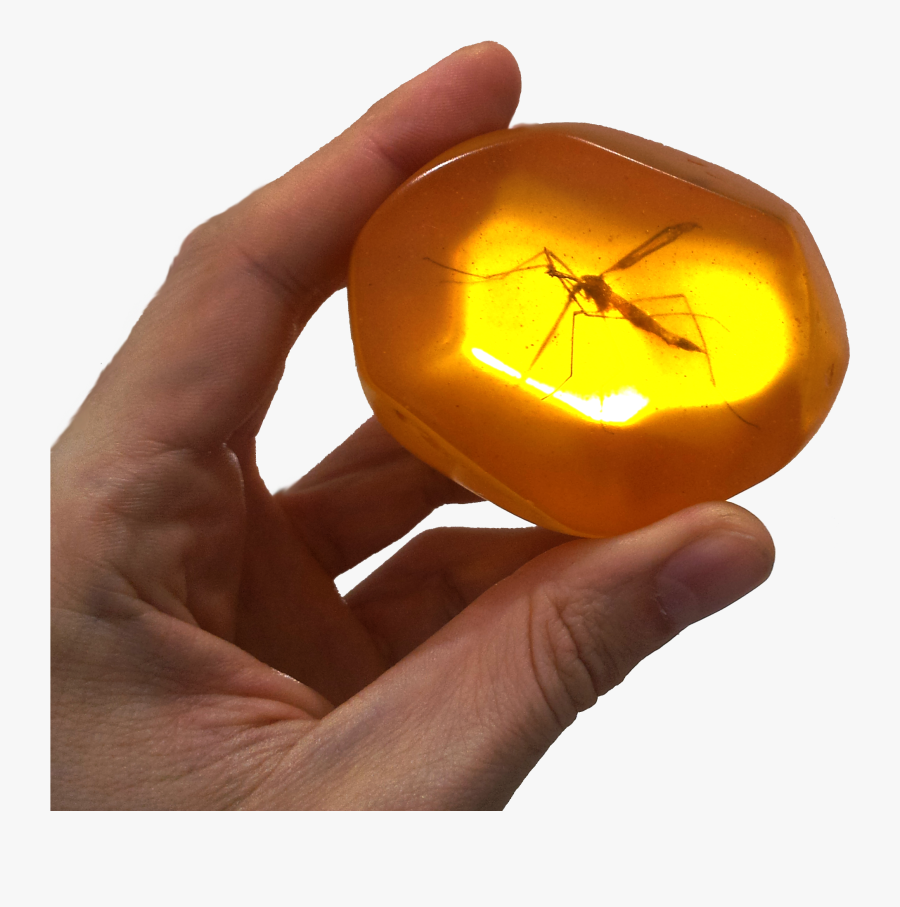 Amber Fx Tattoo Download - Fossil Of Mosquito, Transparent Clipart