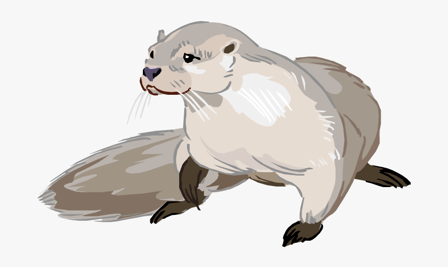 Drawing Cartoon Sea Otter, Transparent Clipart