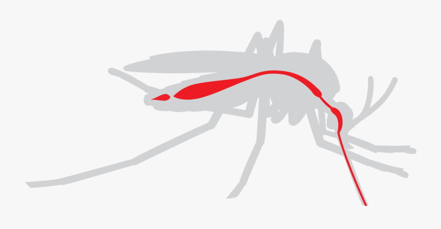 Loyola University Chicago - Illustration, Transparent Clipart