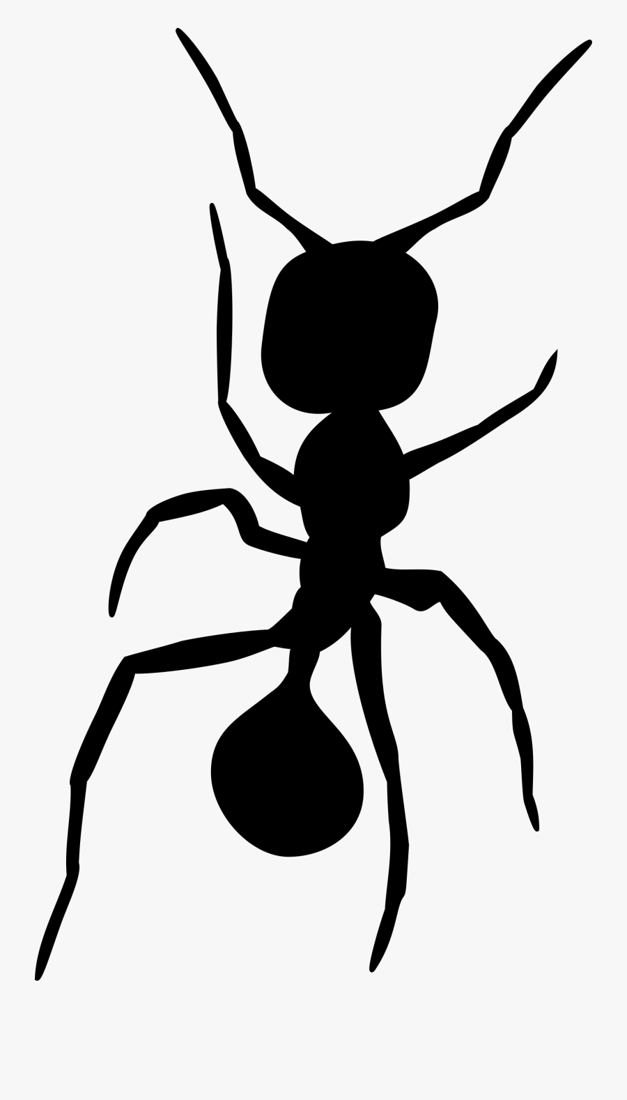 Parasitism Drawing Mosquito - Ant Clipart Above View, Transparent Clipart