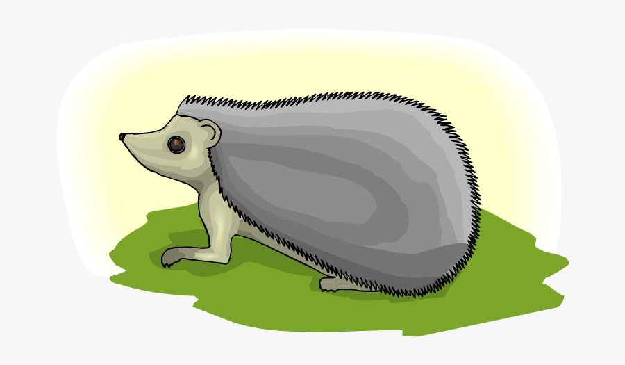 Hedgehog, Transparent Clipart
